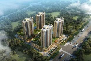 灵璧尚东国际最新爆料  第3张