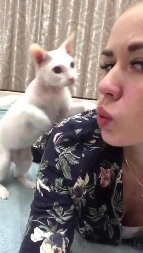 猫猫爆料视频,揭秘视频背后的趣味瞬间  第2张